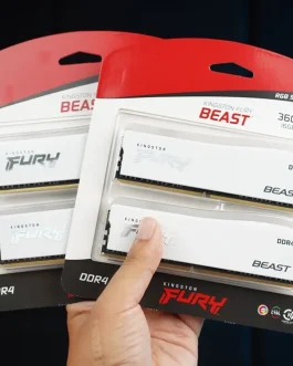 แรม Kingston FURY BEAST